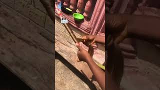 Easy French Curl Attachment Tutorial Favymerim1