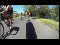 specialized
