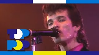 Mink Deville - She's So Tough (Live) (1985) • Toppop