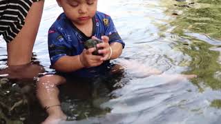 baby playing in the water