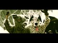 JODRELL BANK LIVE - Transmission 001 - THE FLAMING LIPS, BRITISH SEA POWER , OKGO + SCIENCE