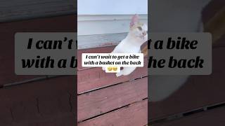 Ty A Bike And Tune A Basket