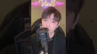 Heres Your Perfect Vinc Cover