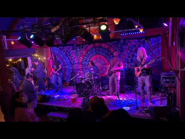 Chasing Ophelia Livestream Archive