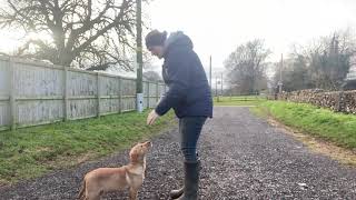 Heel Work Lesson 2