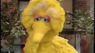 Sesame Street Episode 3860 (FULL) (original PBS broadcast) Sesame Street Episode 3860 (FULL) (original PBS broadcast)