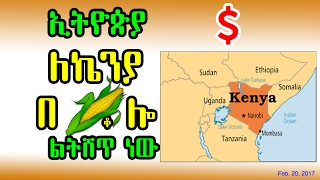 ኢትዮጵያ ለኬንያ በቆሎ ልትሸጥ ነው - Ethiopia is going to sell maize to Kenya - DW 