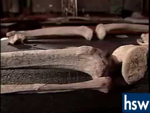 truth about carbon dating This article will explain how carbon dating is supposed to work and then show you the serious flaws with this process. truth about carbon dating This article will explain how carbon dating is supposed to work and then show you the serious flaws with this process.