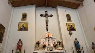 24th Sunday after Pentecost-Propers from 6th Sunday after Epiphany- St Albert the Great commemorated