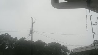 Hurricane Michael Live Hd