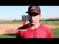 Diamondbacks