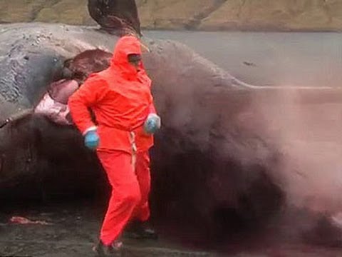 Возбуждающее порно в большом количестве на fapodrom.com