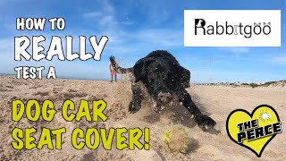 Our Dog Tests out the Rabbitgoo Car Seat Protector