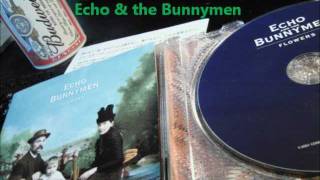 Watch Echo  The Bunnymen Everybody Knows video