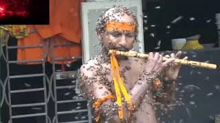 Lebah Datang Ke Badan Ketika Bermain Seruling Bees Are Coming On The Body When Playing The Flute