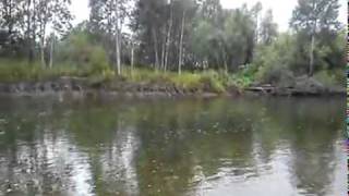 Видео о рыбалке №178