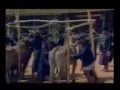 PAK SAKERAH 1982 FULL MOVIE