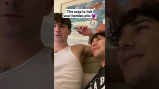 The Urge To Lick Your Homies Armpits Sebb And Dion