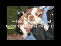 dogs at the holidays
