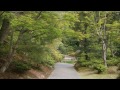 京都の四季 桂離宮 その1、松琴亭まで じっくりどうぞ。