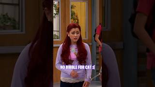 No Bibble For Cat