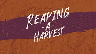 Reaping A Harvest