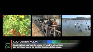 Co2 Y Alimentación
