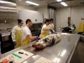 Postmortem examination on a grey seal Postmortem examination on a grey seal