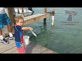 1 HOUR of LAUGHTER - The funniest and best ANIMAL moments of all time - Funny animal compilation