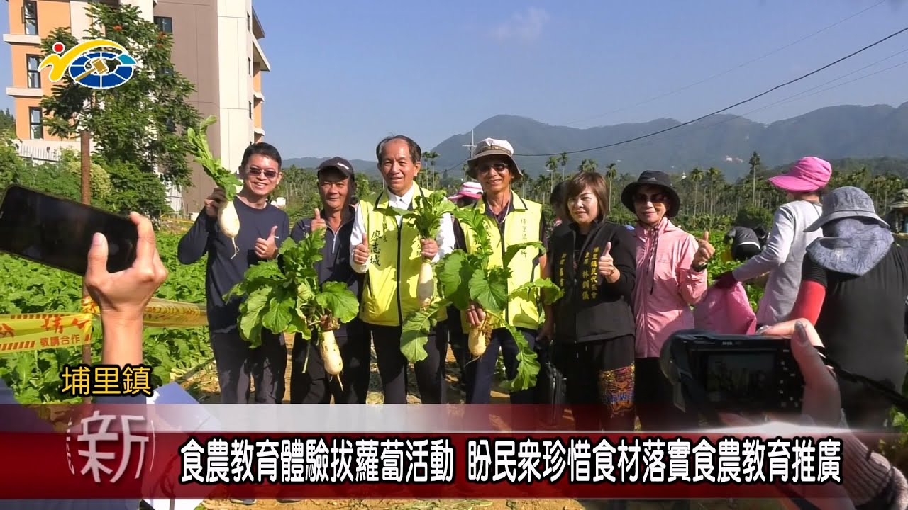 20231127 南投縣議會 民議新聞 食農教育體驗拔蘿蔔活動 盼民眾珍惜食材落實食農教育推廣