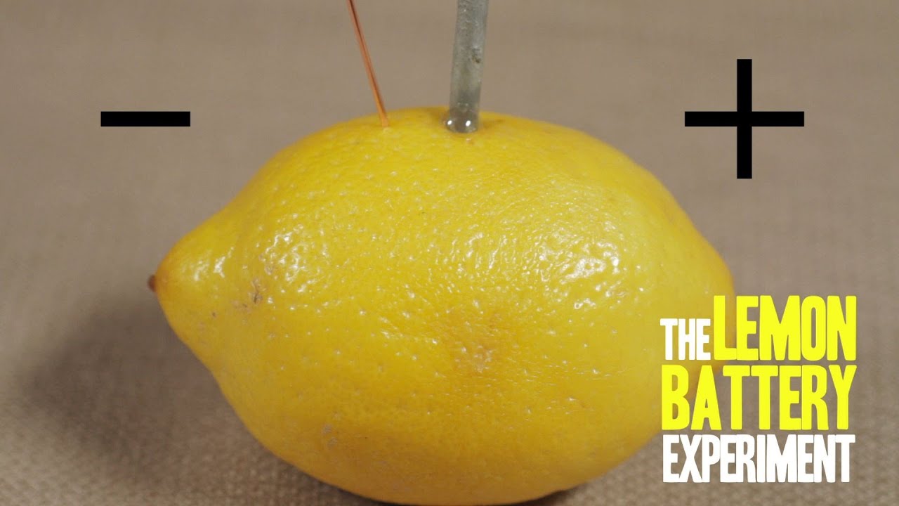 How to Make Lemon Battery Science Project