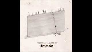 Damien Rice - Camarillas Bonus Track- Mfff