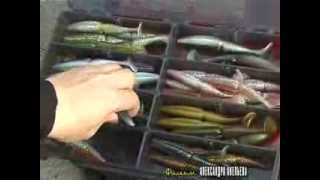 Видео о рыбалке №474