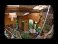 Hawaii Volcano Treehouse