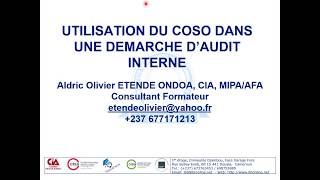 Ibt Webinar - Utilisation Du Coso Dans Une Démarche Daudit Interne