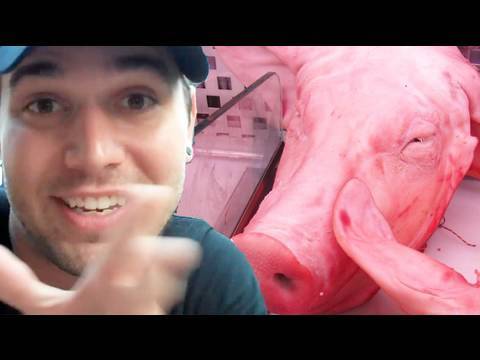 Eating Pig Heads?! (9.1.09 - Day 124)