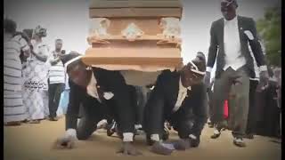 Coffin Dance (Anstromania) Meme Template