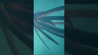 Kraken Underwater - Sea Of Thieves