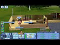 The Sims