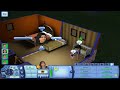 The Sims