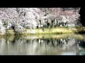 閑人の動画:303堺市・いたすけ古墳の桜