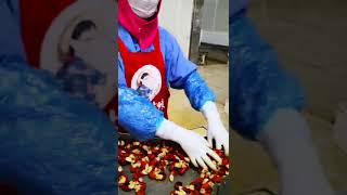 Shrimp Tail Nine Roll Sorting Customer Site