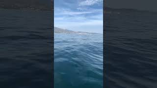 Ooooh Mama. Surcando Las Olas De Marbella