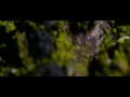 Skin Deep Video preview