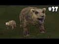 Wild Animals Online - Bear - Android/iOS - Gameplay Episode 37