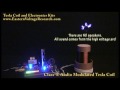 Class-E Audio Modulated Tesla Coil