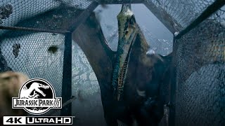 The Pteranodon Aviary Attack in 4K HDR | Jurassic Park III