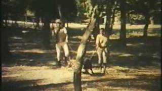 Alev Alev 1984 Cuneyt Arkin - Tarik Akan - Gulsen Bubikoglu Soundrack.avi