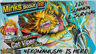 220 Gem Cat Viper Nekomamushi Summon Survival 100 Gameplay One Piece Bounty Rush - Opbr