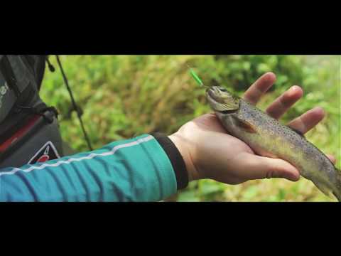может ли быть рыбалка как хобби может ли быть рыбалка как хобби
